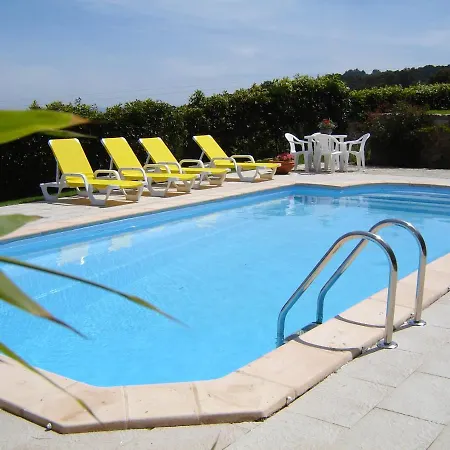 Amazing In Close To The Beach *